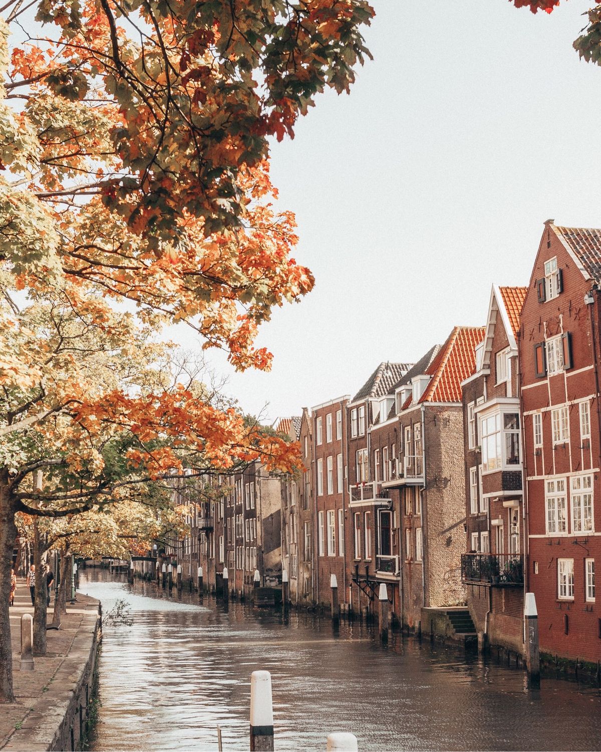 compass-opera-ile-lale-doneminde-ren-nehri-seker-bayrami-18-mart-2026