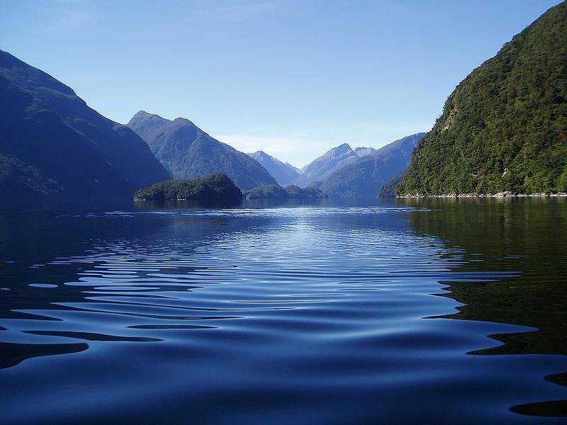 Fiordland National Park Limanı